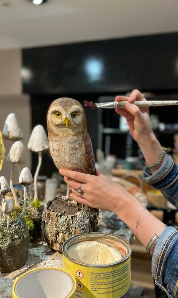 Annabelle Oliveira Conseils, Marché Dauphine